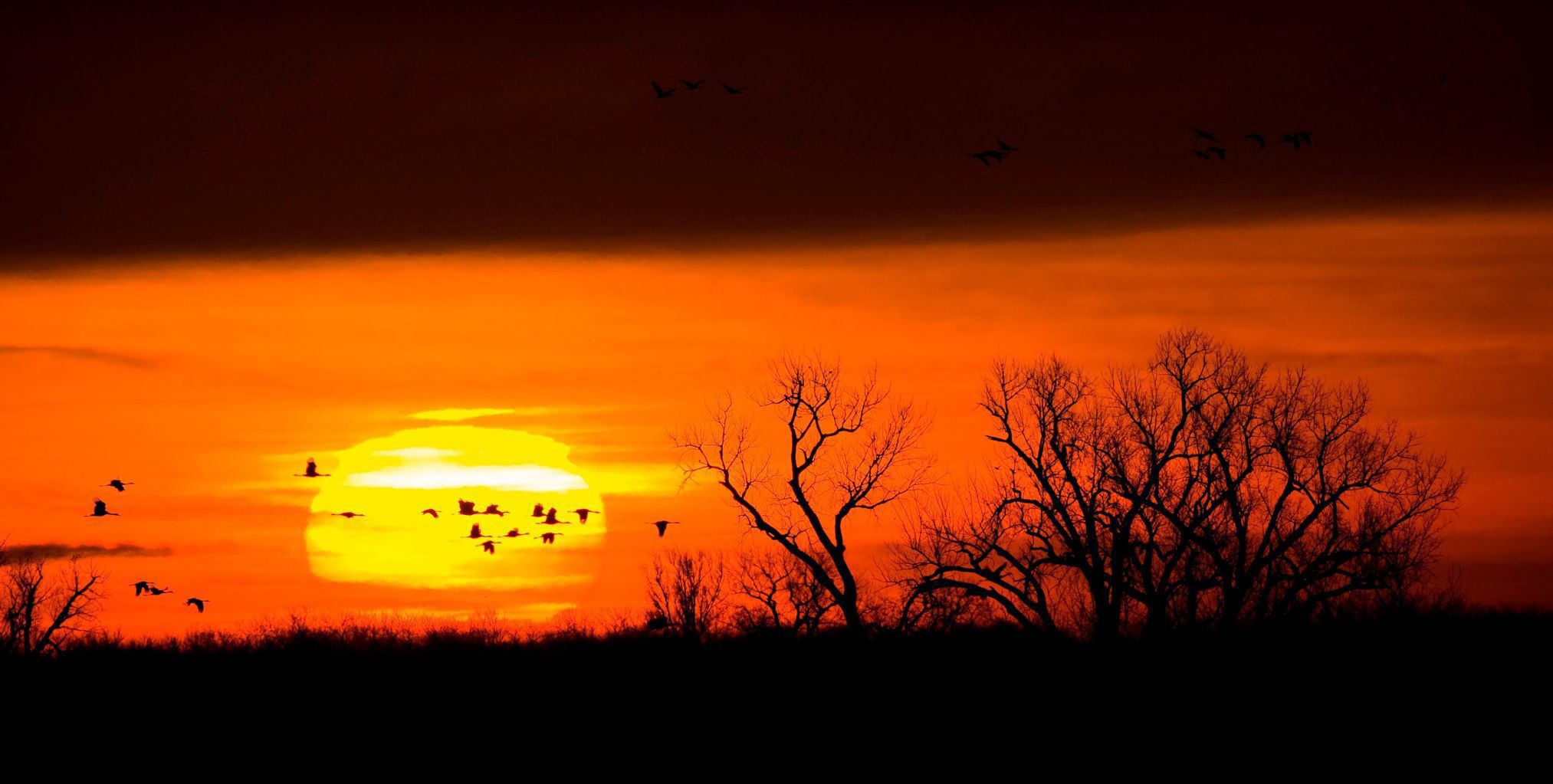 Best of Nebraska
